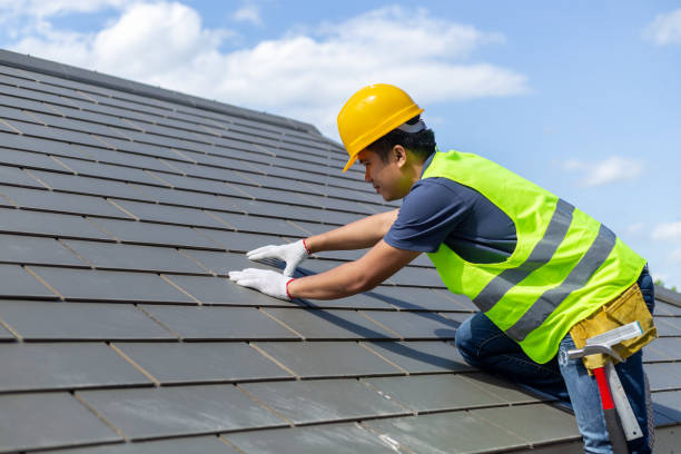 Best Affordable Roofing Company  in Douglas, MI