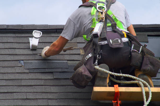 Best Roof Gutter Cleaning  in Douglas, MI