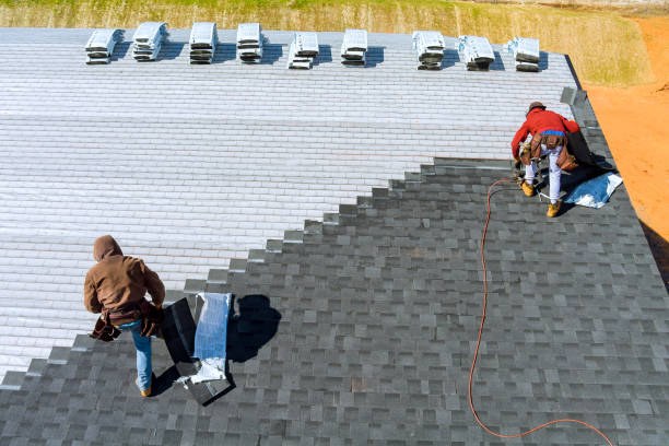 Best New Roof Installation  in Douglas, MI