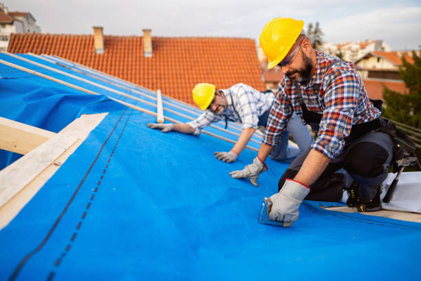 Best Roof Waterproofing Services  in Douglas, MI