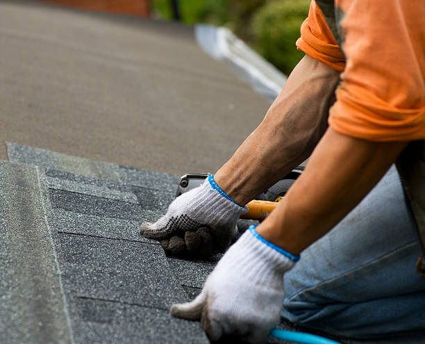 Best Slate Roofing Contractor  in Douglas, MI